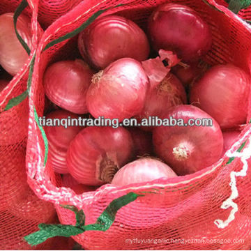 red onion supplier